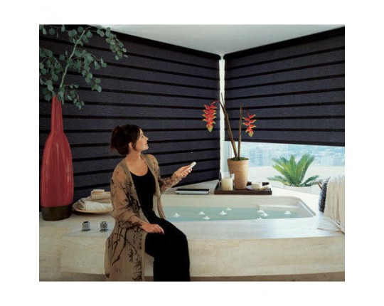 Automatic remote blinds